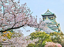九游娱乐官方入口-澳大利亚站结束直接飞，维斯塔潘乘私人飞机清晨抵达虹桥，上海进入F1 时间！